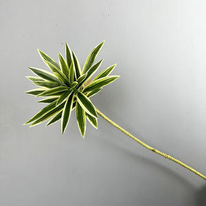 Plantes Vertes Artificielles 3 Têtes Lys Bambou Décoratif Bambou Porte-Bonheur <span class=keywords><strong>Bois</strong></span> Brésilien Plante Tropicale Réaliste Fougère <span class=keywords><strong>Asperge</strong></span> Feuilles Collées - Product Image 6