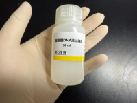 Kit de Extracción Rápida de ADN Fúngico y Bacteriano (TD605) para la Aislación de ADN Genómico en 15 Minutos a Partir de 10^9 Células - 50 Preparaciones