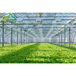 ระบบเรือนกระจกไฮโดรโปนิกส์แบบลอยน้ำ |   ระบบปลูกพืชแบบน้ำลึก (DWC) สำหรับการเพาะปลูกผักใบเขีย<span class=keywords><strong>ว</strong></span>และสมุนไพรให้ผลผลิตสูง - Product Image 3