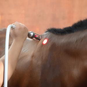 Aparelho de Fisioterapia a <span class=keywords><strong>Laser</strong></span> Para Animais 810nm 980nm Para Recuperação de Lesões - Product Image 5