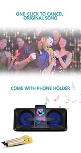 Sdrd sd301 BT Loa nhà KTV tất cả-trong-một micro cầm tay điệp khúc K bài hát karaoke loa - Product Image 4