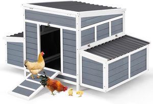 Huisontwerpen Voor Legkippen Grijze Mobiele Kippenhok Houten Kippenlaagkooi Met Sterke Lokken Om Uw Kippen Veilig Te Houden - Product Image 2