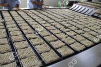 Nouilles Indomie automatiques à prix d'usine faisant la machine Extrudeuse à processus complet Ligne de friture et d'assaisonnement à la vapeur