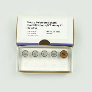 Kit de dosage par PCR quantitative (relatif) pour la quantification de la longueur des téloèmeres de souris EQ028 100rxns pour la recherche - Product Image 1