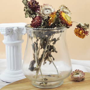 <span class=keywords><strong>Vase</strong></span> hydroponique <span class=keywords><strong>en</strong></span> <span class=keywords><strong>verre</strong></span> maison <span class=keywords><strong>vase</strong></span> à fleurs <span class=keywords><strong>en</strong></span> <span class=keywords><strong>verre</strong></span> moderne, <span class=keywords><strong>vase</strong></span> à <span class=keywords><strong>jacinthe</strong></span> coloré - Product Image 4