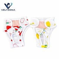 Sacs à déjections canines de luxe réutilisables et imperméables, motif dessin animé, avec ceinture respirante en maille et accent nœud, motif fraise-citron, confortables
