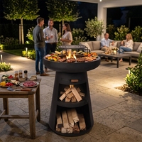 Barbecue portable d'extérieur à bois avec brasero et plaque de cuisson, avec bac à cendres, pour jardin et patio