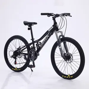Hot Sale Cheap Price Cycle Disc Christmas Gift Mtb Off Road Bicycle Sport Style 21 Speed Cycling 26 Inch Men Women Mountain Bike