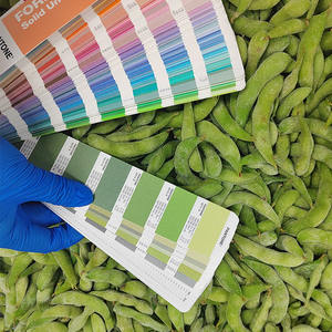 Germes de soja frais surgelés IQF biologiques en vrac, haricots edamame de qualité export, cultivés en serre, haricots pelés - Product Image 4