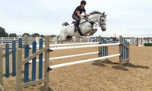 High Quality Outdoor <strong>Aluminum</strong> Metal <strong>Jumps</strong> With Swing Equipment for Horse Racing Sport <strong>Show</strong> - Product Image 4