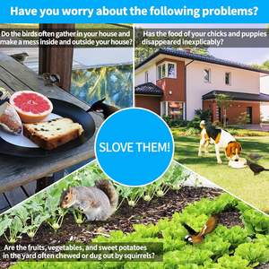 Repelente de Aves Láser de Mano de 1W, el Más Potente, Disuasor de Aves Láser de Largo Alcance, Solución Manual para el Control de Aves - Product Image 4