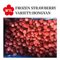 Nouvelle saison en vrac 10kg de fraises glacées au parfum de friture en carton IQF fraises fruits en chine/Vietnam/egypte