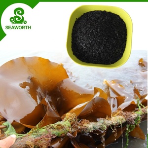 100% سماد تبغ عضوي قابل للذوبان في الماء - Product Image 5