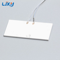 LJXH 1PC Plaque chauffante en céramique d'alumine pour fers électriques et chauffe-eau 20*20*2mm