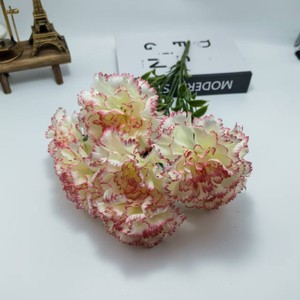 Bouquet <span class=keywords><strong>di</strong></span> 7 <span class=keywords><strong>Fiori</strong></span> <span class=keywords><strong>di</strong></span> Garofano Artificiali, Garofani Finti Multicolore per Regalo Festa della Mamma, Decorazione Casa e Matrimonio - Product Image 3