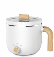 Marmite de cuisson électrique en acier inoxydable, mini casseroles, verres à chaud électriques, frites