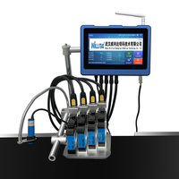 Impresora de inyección de tinta en línea Tij con 4 cabezales de impresión, pantalla táctil, máquina codificadora digital de alta velocidad para etiquetas, bolsas de plástico y cajas de lotes.