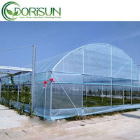 Serre Agricole Intelligente 30x96m Tunnel Culture Système Hydroponique Structure de Serre