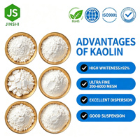 Argile de Kaolin Calcinée Lavée pour Applications Papières – Poudre de Kaolin de Haute Qualité avec 0,08 % d'Humidité, 325-6000 Mesh