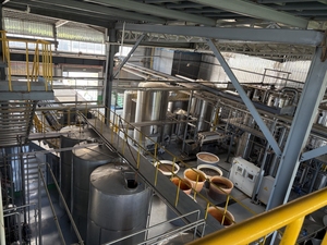 Extracto de Dracaena Cochinchinensis 10:1 (Extracto de Sangre de Dragón) Extracto Herbal de Grado Alimenticio en Polvo en Envase de Tambor - Product Image 4