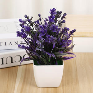 <span class=keywords><strong>Pot</strong></span> de verdure artificiel nordique Huaien-<span class=keywords><strong>Eucalyptus</strong></span> créatif et <span class=keywords><strong>mini</strong></span> herbe pour entrée/salon Vente <span class=keywords><strong>en</strong></span> gros écologique - Product Image 4