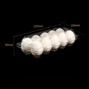 Wholesale Transparent Egg Holder 20 Holes Clamshell Egg Box 20 Cells PET Disposable Plastic Clear Egg Tray