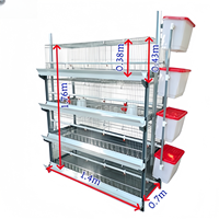 Cage d'élevage de poussins de type H, gain de place, entièrement automatique, galvanisée à chaud, 3/4 niveaux, pour élevage avicole