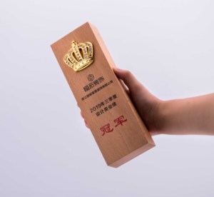 Cina Prodotto di Blocco di Legno Targa di Legno di Cristallo Chimerism Artigianato Trofeo - Product Image 5