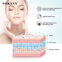 Humidificador Profesional SOKANY-678, Vaporizador Facial Nano, Rociador Facial, Vaporizador Rápido, Vaporizador de Vapor Tibio