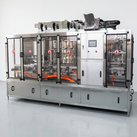 Machine de remplissage automatique de liquides 5L 10L, équipement d'embouteillage d'eau, remplisseur volumétrique pour ligne de production d'eau minérale et de boissons