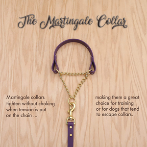 Pastel Fi Compatible con liberación rápida <span class=keywords><strong>Collar</strong></span> de perro ajustable <span class=keywords><strong>Slip</strong></span> Lead 100% Olor & <span class=keywords><strong>Collar</strong></span> de perro personalizado rosa a prueba de agua con placa de identificación - Product Image 2