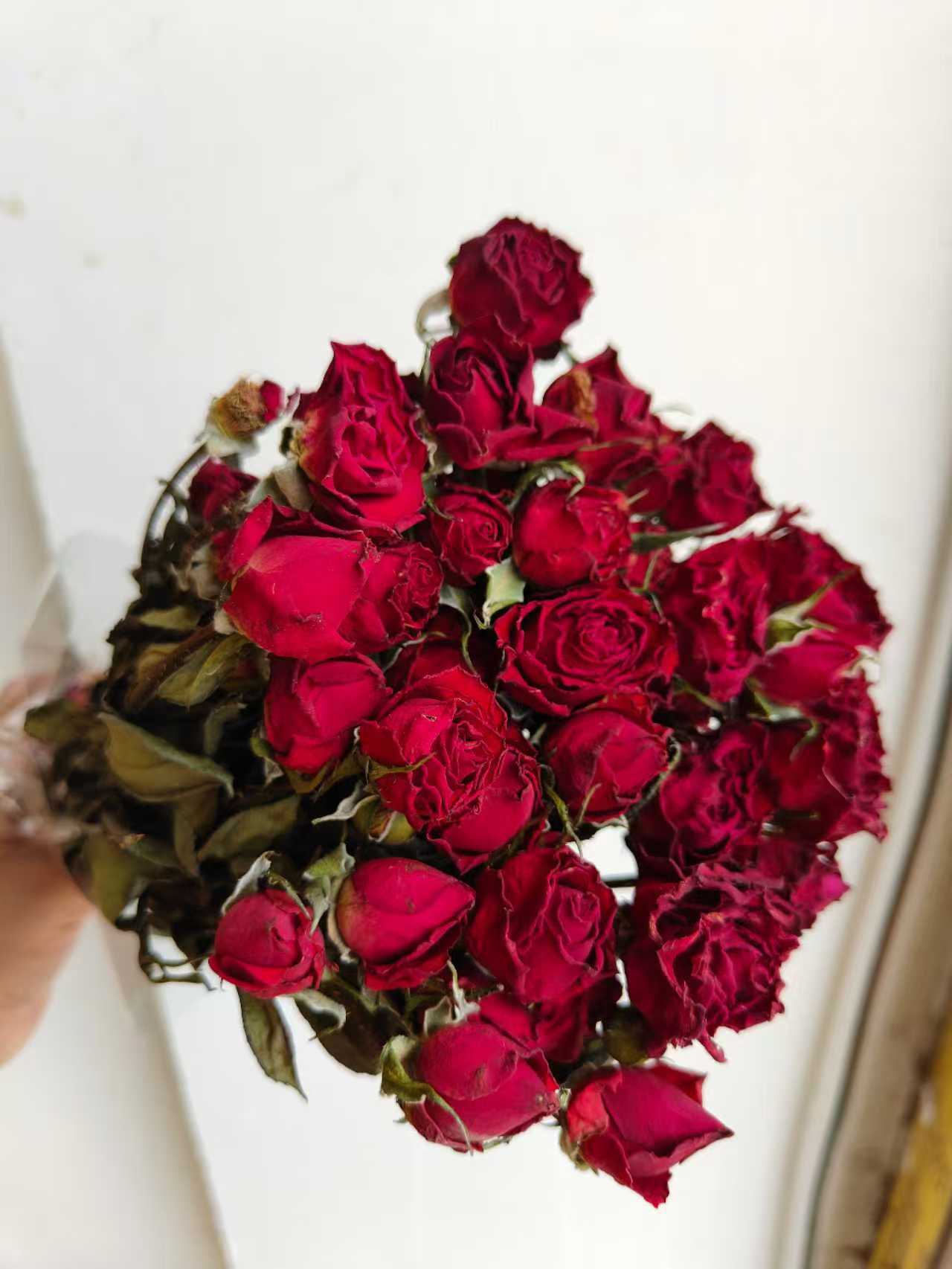 burbujas de neón rojas