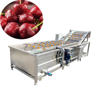 Aanpasbare Fabrieksbron Fruit En Groente Bubbel Reinigingsmachine Kern Motorcomponent Voor Maïs En Water Grondstof