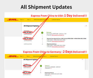 싱가포르를 연결하는 호별 화물 운송을위한 DHL 익스프레스 메일 서비스 중국 미국 인도네시아 필리핀 - Product Image 4