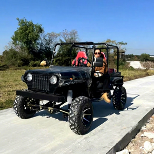 Carrito Jeep Donwin, Fabricación China, 200cc 300cc, Color Personalizado, Gasolina, Cuatro Ruedas, Frenos de Disco Hidráulicos, Neumáticos de Goma Sólida - Product Image 1