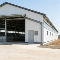 Bâtiment d'élevage modulaire à montage rapide et bonne ventilation, structure en acier pour élevage de bétail et volailles