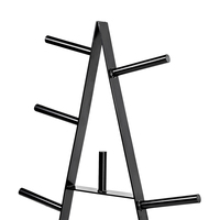 Support de rangement portable en métal Dingfeng pour plaques de poids, équipement de gym multifonctionnel pour entraînement de force, unisexe