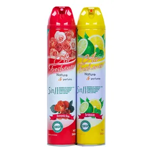 OEM ODM deodorante personalizzato per la casa vaporisateur profumo per camera spray deodorante per ambienti spray spray aerosol