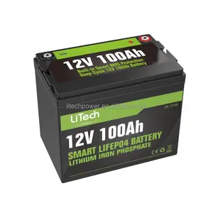 Hot sale Lifepo4 battery 12v 100ah drop in batteries with smart bms and BT
