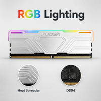 RAM DDR4 32 Go 2133 2666 3200 MHz RGB pour ordinateur portable, ordinateur de bureau, jeux, ECC