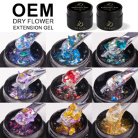 Gel Ekstensi Kuku Bunga Kering Baru dengan Potongan Bunga Kering Asli yang Tertanam Secara Alami, Warna Kustom, Gel Nail Polish Grosir