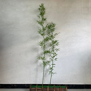 <span class=keywords><strong>Alberi</strong></span> di Bambù Artificiali di Alta Qualità, Ecologici e Anti-UV, in Plastica per Interni ed Esterni, Decorazione Domestica dall'Aspetto Naturale per Pareti e Pavimenti - Product Image 3
