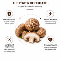 Poudre d'extrait de champignon Shiitake de qualité alimentaire 0,2%~1% Adénosine Bêta-glucane en poudre pour complément alimentaire, emballage en fût