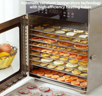 OEM/ODM beschikbaar. Commerciële 10-bakjes roestvrijstalen 400W mini-voedseldroger voor fruit en groenten - voor kleine producenten.