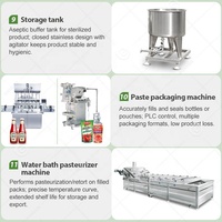 Industriële kleine schaal verwerkingsinstallatie voor tomaten, inclusief machine voor het maken van tomatenpuree, te koop.