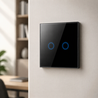 Sakelar Sentuh Dinding Standar EU Bingoelec Wifi Tuya Smart, Bekerja dengan Google Alex Zigbee, Sakelar Lampu Kaca Tekan untuk Rumah