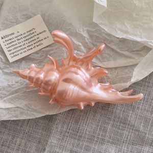 Nuevo Diseño Serie Marina Pinzas de Pelo Acrílicas para Mujeres y Niñas, Accesorios de Pinzas de Pelo de Concha Blanca para Fotos de Verano - Product Image 6