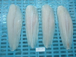 เนื้อปลาแซลมอนแช่แข็งในปลา - Product Image 2