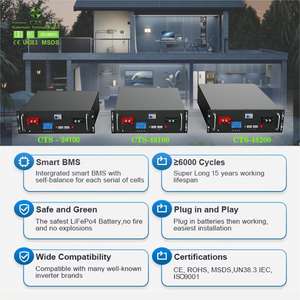 51.2v 리튬인산철(LiFePO4) 배터리 48v 100ah 200ah 300ah 5kWh 10kWh 30kWh 리튬이온 배터리 가정용 에너지 저장 시스템용 - Product Image 6