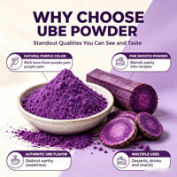 Poudre d'igname violette UBE biologique en vrac de haute qualité, poudre d'herbes à prix imbattable